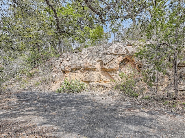 14704 Hornsby Hill Rd, Austin, TX 78734