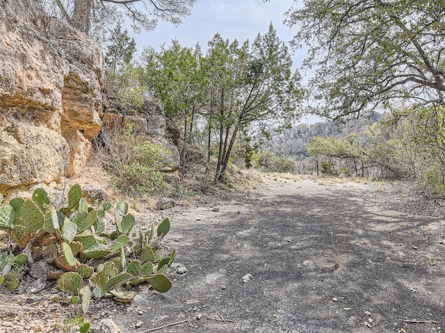 14704 Hornsby Hill Rd, Austin, TX 78734