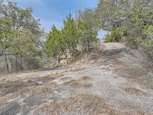 14704 Hornsby Hill Rd, Austin, TX 78734