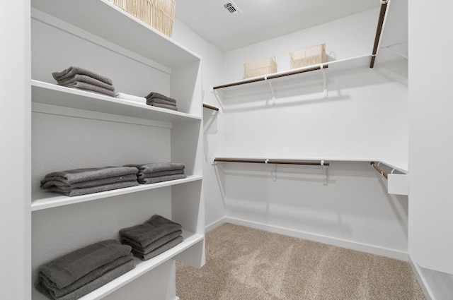 2705 Sage Ranch Dr Unit 32, Leander, TX 78641 - walk in closet featuring carpet flooring