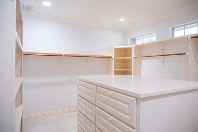 walk in closet with visible vents