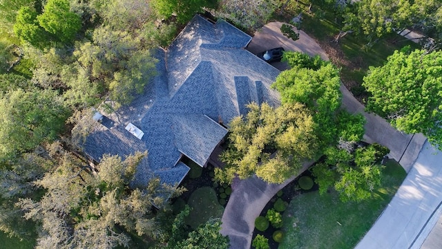 aerial view
