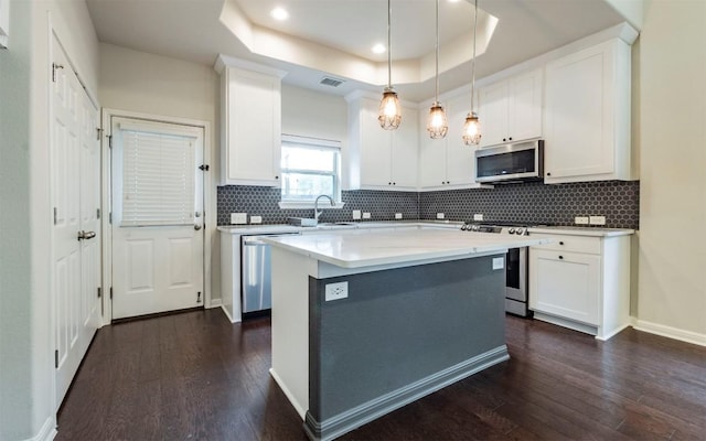 kitchen featuring dark wood-style floors, a sink, stainless steel appliances, and a tray ceiling