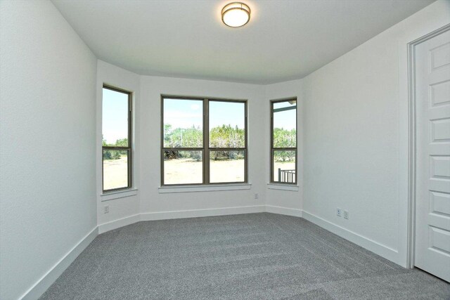 619 Wonderstruck, Liberty Hill, TX 78642 - photo 27