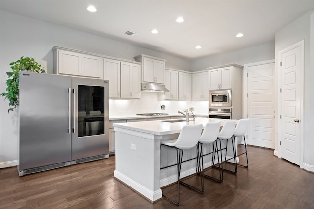 308 Highland Village Cv, Austin, TX 78738 - kitchen with appliances with stainless steel finishes, under cabinet range hood, dark wood-style flooring, a sink, and light countertops