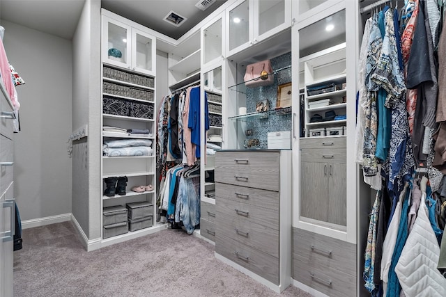 308 Highland Village Cv, Austin, TX 78738 - spacious closet featuring carpet flooring