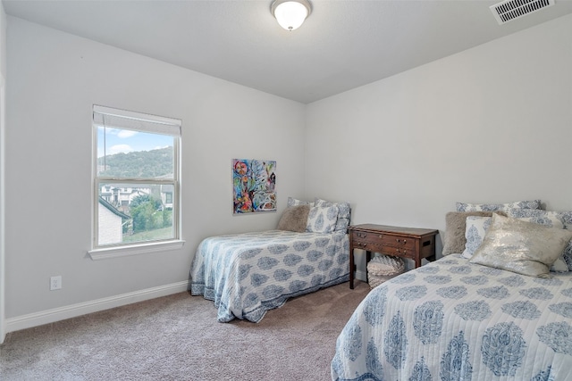 308 Highland Village Cv, Austin, TX 78738 - carpeted bedroom with baseboards