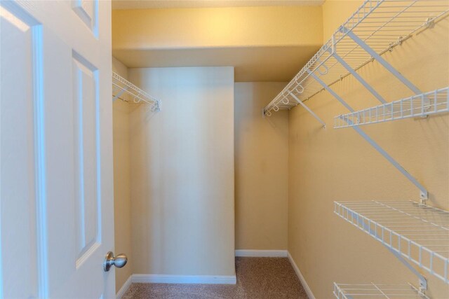 spacious closet with carpet floors