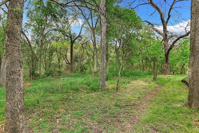 802 S 1st St Unit 225, Austin, TX 78704 - view of tree filled area