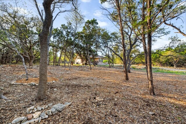 1135 Twisted Oak Ct, Canyon Lake, TX 78133 - photo 9