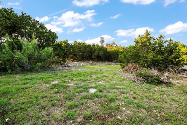 1135 Twisted Oak Ct, Canyon Lake, TX 78133 - view of yard