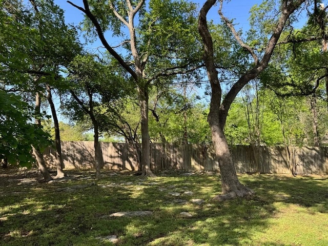11202 Balcones Woods Cv, Austin, TX 78759 - view of yard