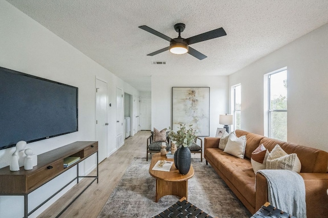 6914 Rifle Bnd, Austin, TX 78736 - photo 12