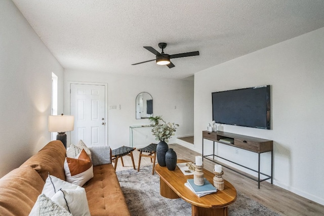 6914 Rifle Bnd, Austin, TX 78736 - photo 8