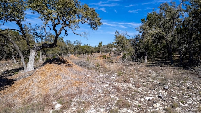 13510 Trautwein Rd, Austin, TX 78737 - photo 27