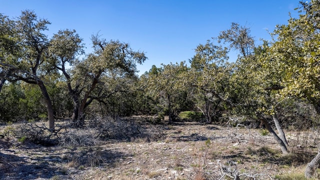 13510 Trautwein Rd, Austin, TX 78737 - photo 3