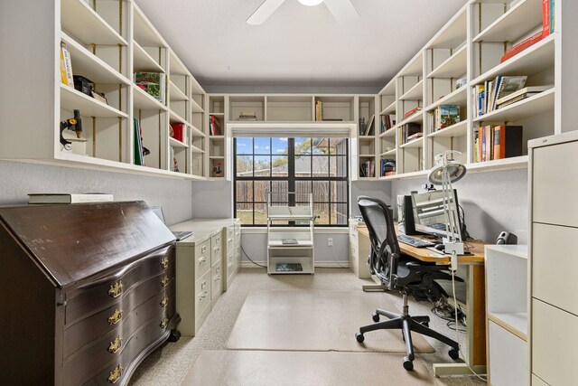 3806 Eagle Way, Round Rock, TX 78681 - office space with ceiling fan