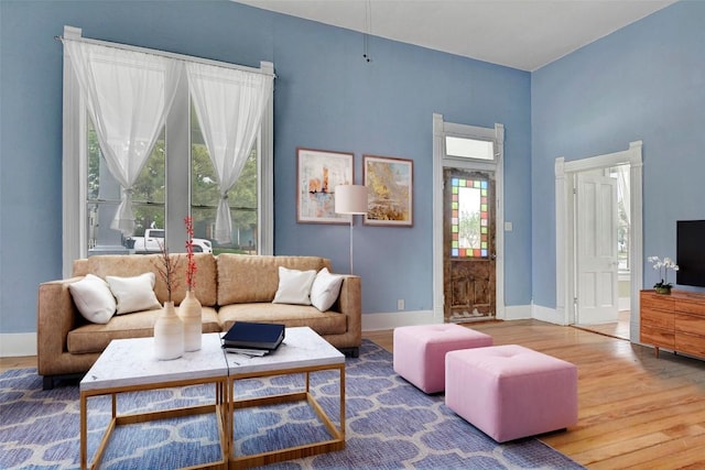 living area featuring baseboards and wood finished floors