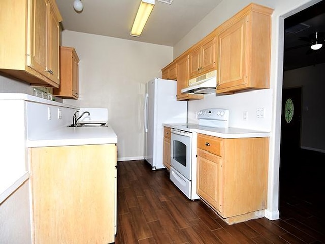 159 Moku Manu Dr, Bastrop, TX 78602 - kitchen featuring white appliances, under cabinet range hood, dark wood finished floors, and light countertops