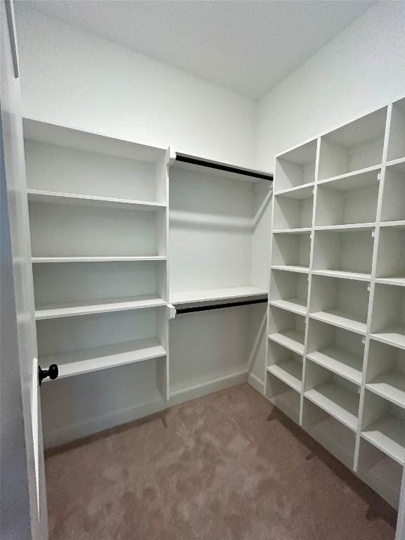 spacious closet featuring carpet