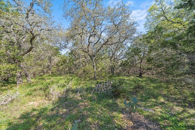 TBD Summer Mountain Dr, San Marcos, TX 78666