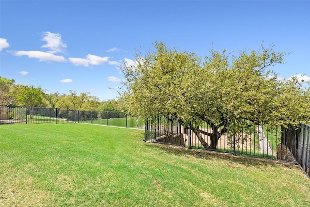 231 Tradinghouse Creek St, Georgetown, TX 78633 - view of yard