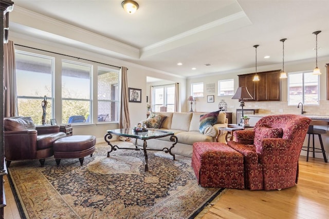 231 Tradinghouse Creek St, Georgetown, TX 78633 - living area featuring light wood-style flooring, recessed lighting, and ornamental molding