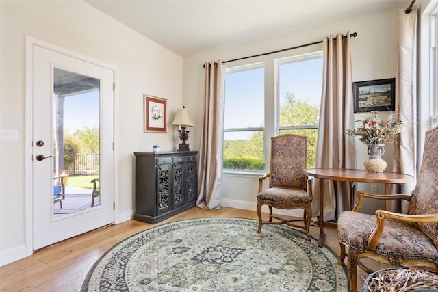 231 Tradinghouse Creek St, Georgetown, TX 78633 - living area featuring wood finished floors and baseboards