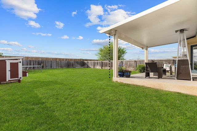 301 Drystone Trl, Liberty Hill, TX 78642 - view of yard with a shed, a patio, and an outdoor structure