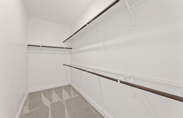 417 Singing Dove Way, Liberty Hill, TX 78642 - spacious closet featuring light carpet