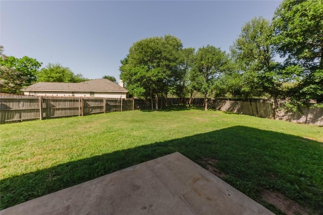 115 Hummingbird Ct, Cedar Creek, TX 78612 - view of yard with a patio