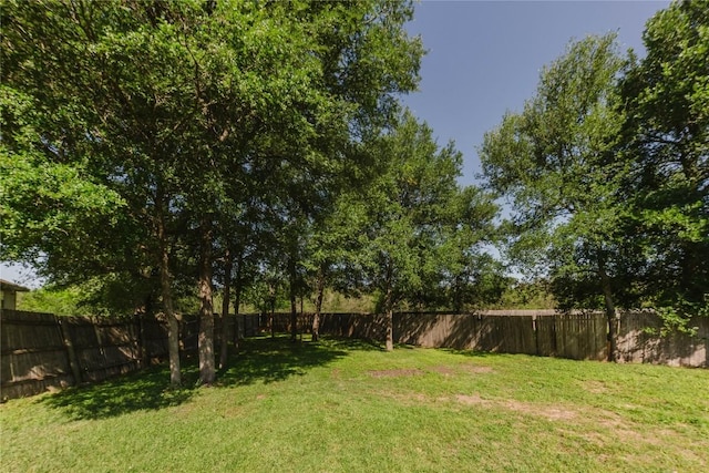 115 Hummingbird Ct, Cedar Creek, TX 78612 - view of yard