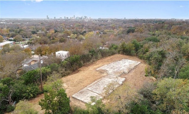 1106 Lott Ave, Austin, TX 78721 - photo 8
