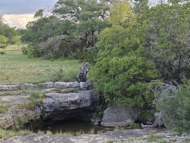 9939 County Road 404, Spicewood, TX 78669 - photo 1