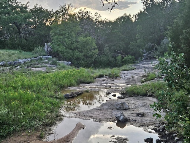 9939 County Road 404, Spicewood, TX 78669 - photo 4