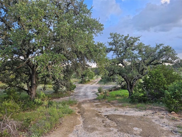 9939 County Road 404, Spicewood, TX 78669 - photo 6