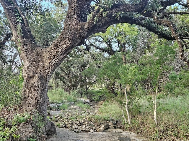 9939 County Road 404, Spicewood, TX 78669 - photo 7