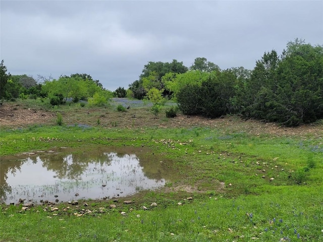 9939 County Road 404, Spicewood, TX 78669 - photo 11