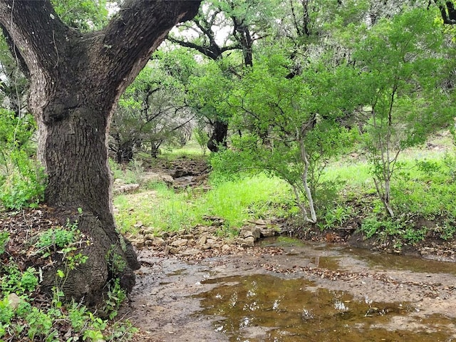 9939 County Road 404, Spicewood, TX 78669 - photo 12