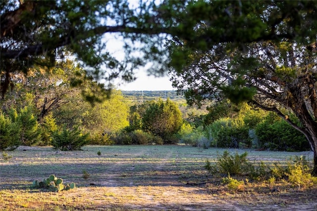 9939 County Road 404, Spicewood, TX 78669 - photo 14