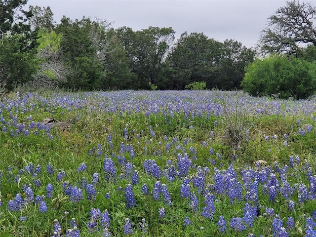 9939 County Road 404, Spicewood, TX 78669 - photo 16