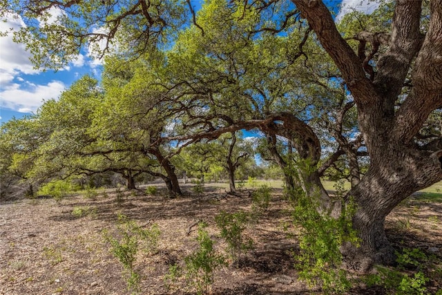 9939 County Road 404, Spicewood, TX 78669 - photo 21