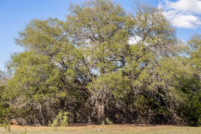 9939 County Road 404, Spicewood, TX 78669 - photo 26