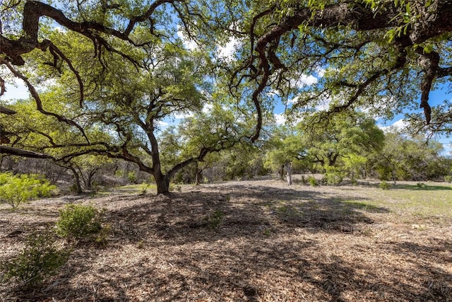 9939 County Road 404, Spicewood, TX 78669 - photo 27