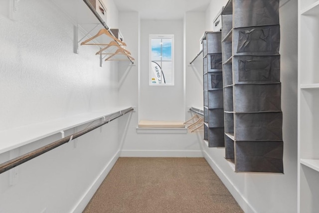 100 Silent Grove Ct, Georgetown, TX 78642 - spacious closet with carpet