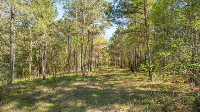 000 Bighorn Rd, Huntsville, TX 77340 - photo 1