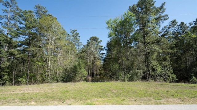 000 Bighorn Rd, Huntsville, TX 77340 - photo 13