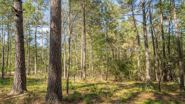 000 Bighorn Rd, Huntsville, TX 77340 - photo 15