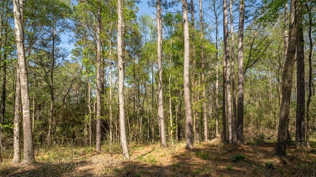 000 Bighorn Rd, Huntsville, TX 77340 - photo 16