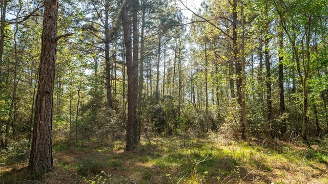 000 Bighorn Rd, Huntsville, TX 77340 - photo 18